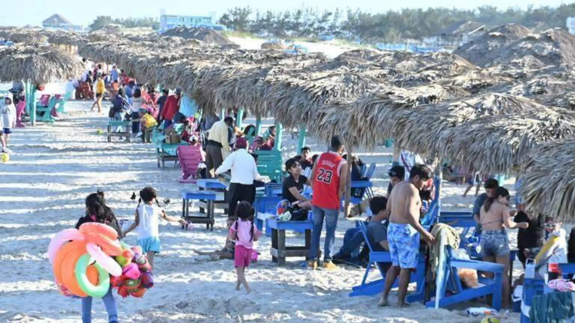 Darán bolsas ecológicas para resguardar a playa Miramar de la basura 